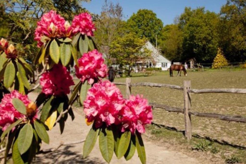 The Cottage Cross in Hand Zewnętrze zdjęcie